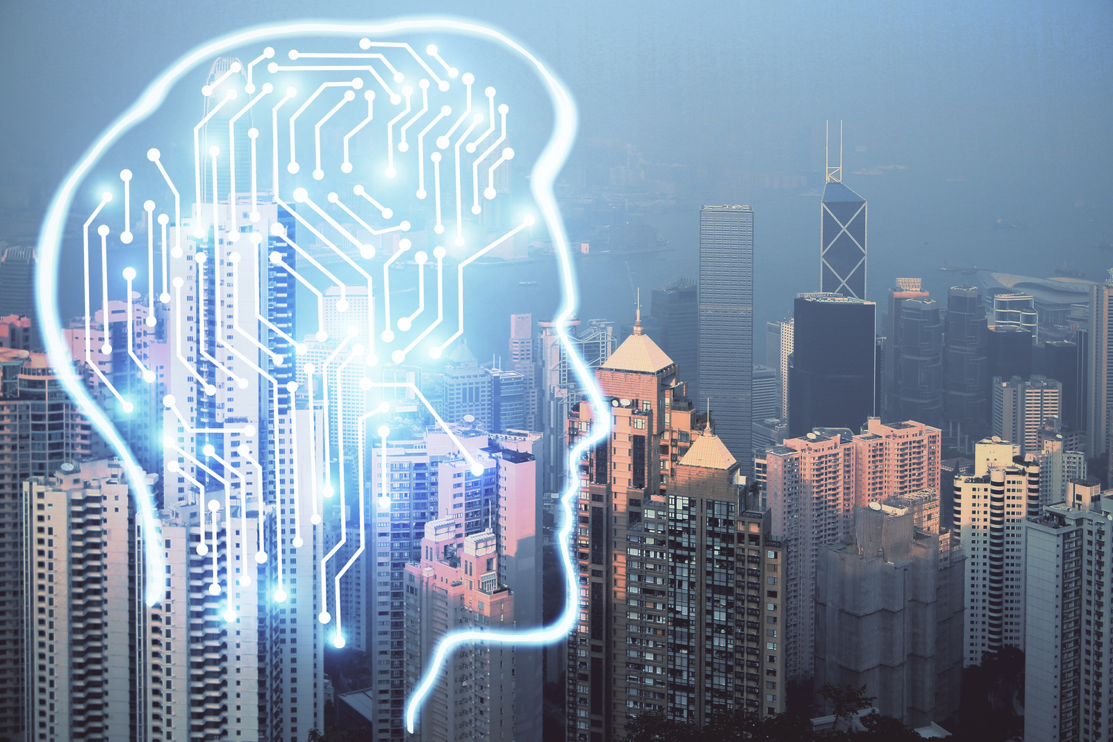 Building a knowledge-based, innovation-driven economy