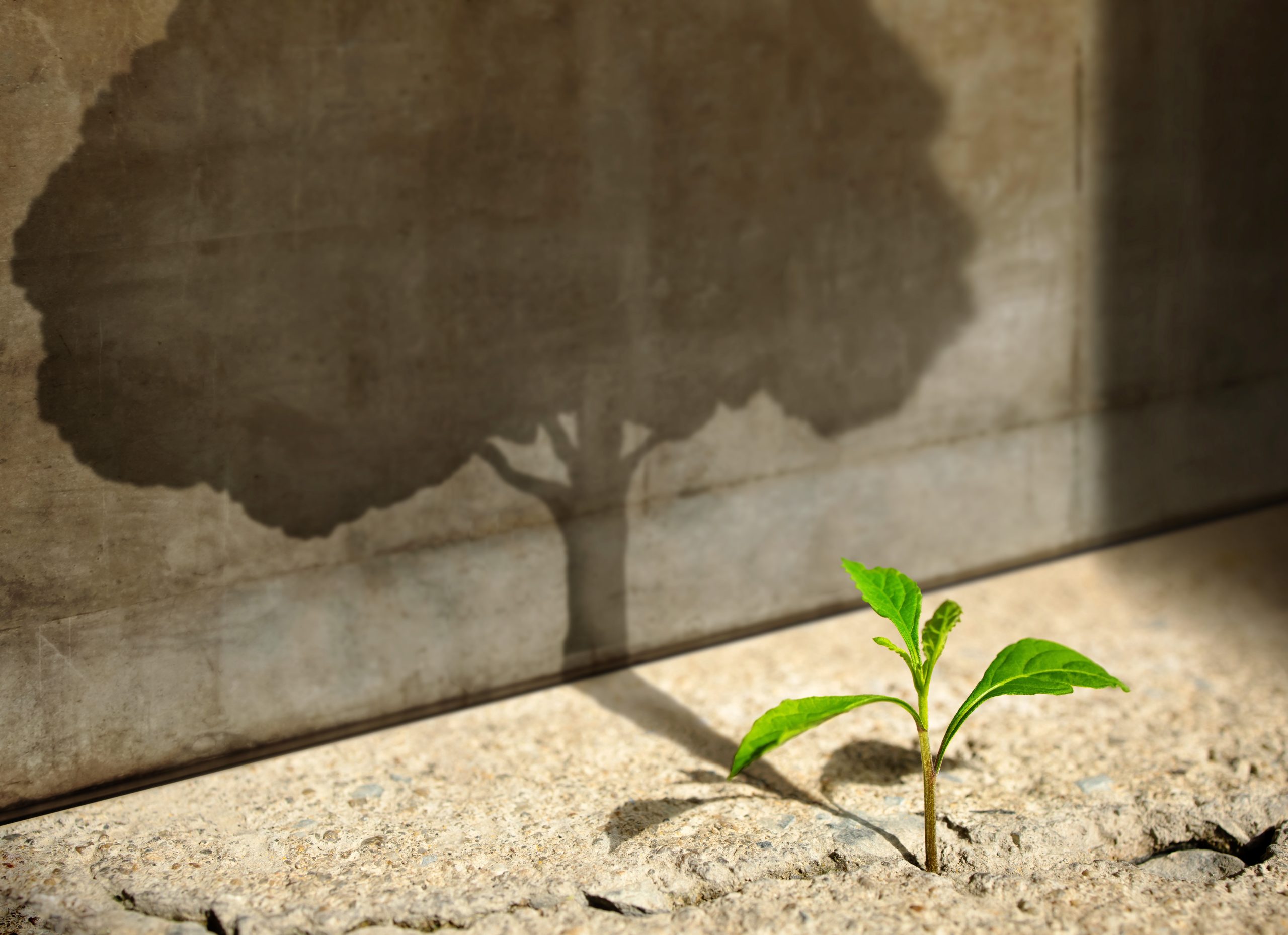 Is ESG a fad or the future?